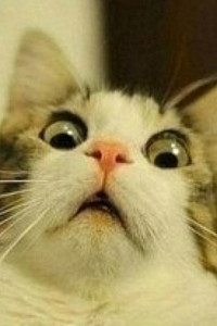 Юлия Ярвинен