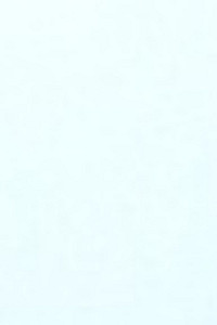 Ольга Шинкова